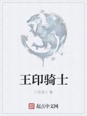 神印王座神印骑士