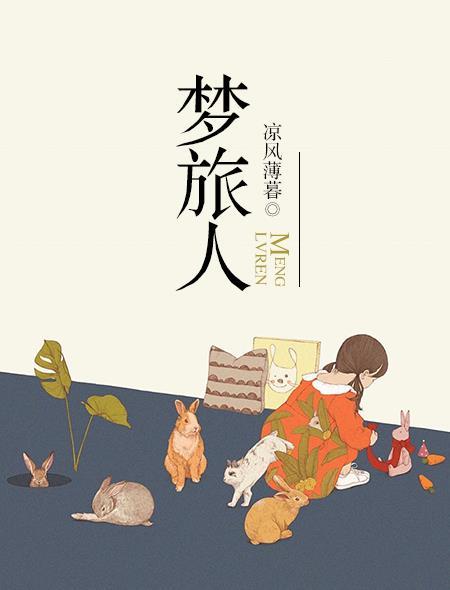 梦旅人豆瓣评分