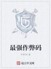 游戏中的作弊码