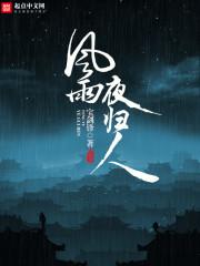 风雨夜归人 郝晓庚