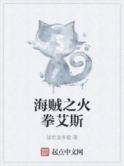 海贼之火拳艾斯作者海贼王子