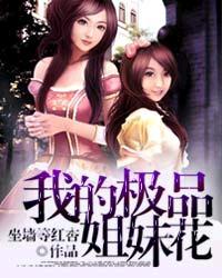 我的极品姐妹花11