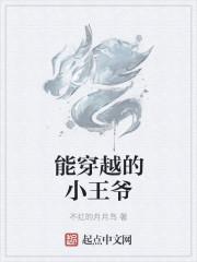 穿越王爷类