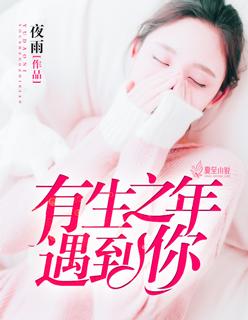 有生之年能遇到你下一句歌词