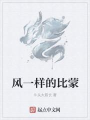 风一样的感觉是什么意思