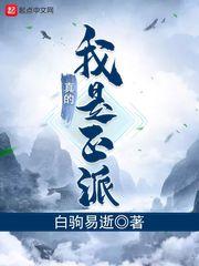 我真的是正派呀怎么样
