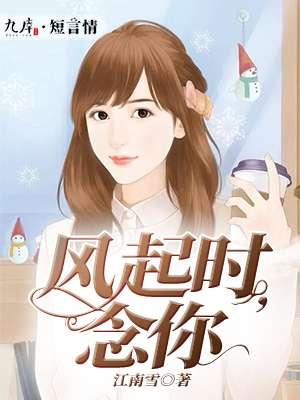 风起时想你后一句