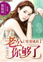 宠妻成狂老公你够了无弹窗免费阅读