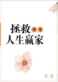 快穿之拯救人生赢家 决绝txt百度