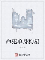 单身狗的生肖