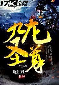 九龙圣主