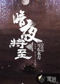 暗夜将至正版免费观看