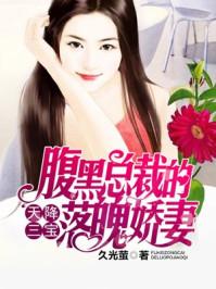 天降三宝腹黑总裁的落魄妻免费