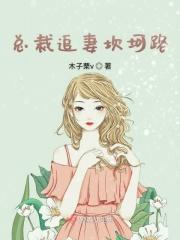 总裁追妻的困难模式免费阅读