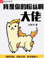 我是你的粉丝的意思