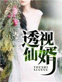 极品全能佳婿完整版免费阅读
