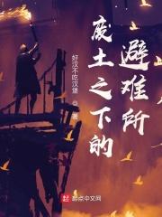 废土避难所 生孩子