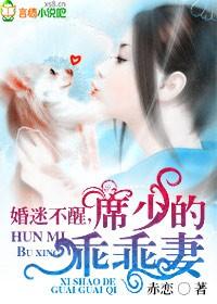 席少宠妻如命全文阅读