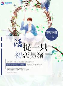 总裁宠上