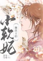 摄政王的小软妃晋江