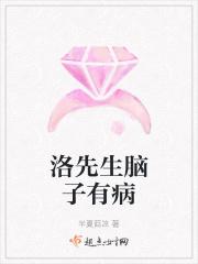 洛先生的追妻指南