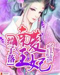 兰陵王妃原著