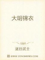 大明锦衣镇天下