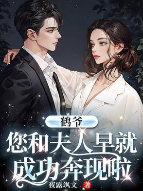 鹤先生是什么意思