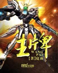 王牌飞行员
