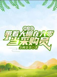 四合院开局得肥缺