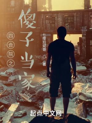 四合院之傻子当家 七零后斌哥