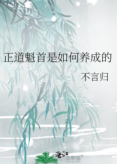 正道魁首是如何养成的境界划分