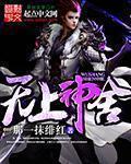 无上神免费阅读