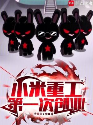 小米创业公司