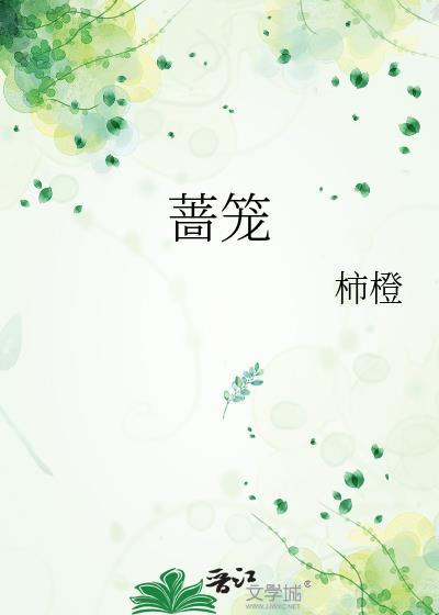 蔷笼柿橙晋江