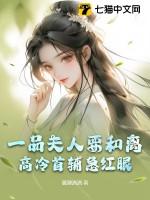 一品夫人的命