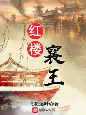 红楼襄王有声书