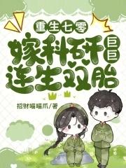 重生七零嫁知青目录