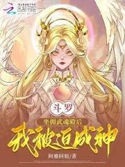 武魂殿开局的斗罗同人