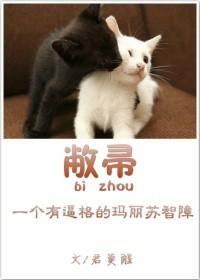 敝帚自珍的敝的意思