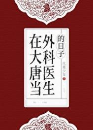 在大唐当外科医生的日子免费阅读