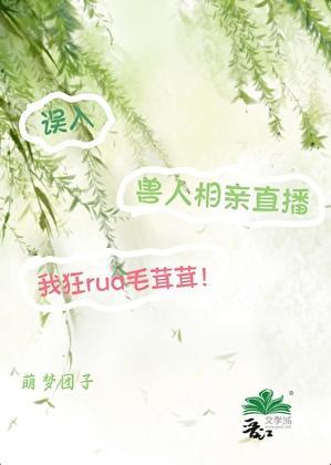 兽人bilibili