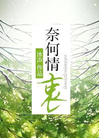 奈何情衷by沐声讲什么