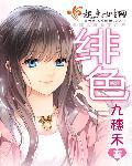 绯色回响反和谐教程