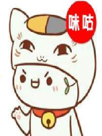 司法大类包括哪些