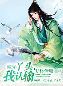 丫头我宠你叶妃