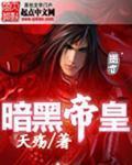 暗黑帝皇侠1到20集免费观看
