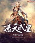 凌天武王txt