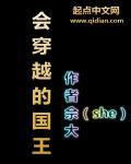 类似会穿越的国王的