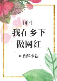 我在乡村直播